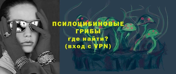 гидра Протвино