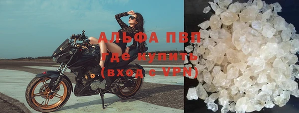 бошки Белокуриха