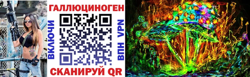 магазин    Верхний Уфалей  Псилоцибиновые грибы Psilocybe 